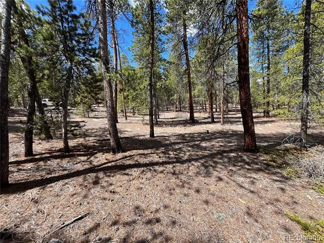 1013 Sequoia Drive Twin Lakes, CO 81251