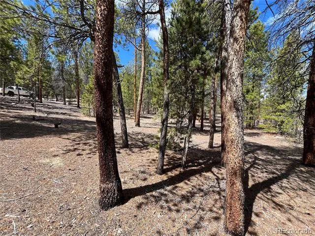 1013 Sequoia Drive Twin Lakes, CO 81251