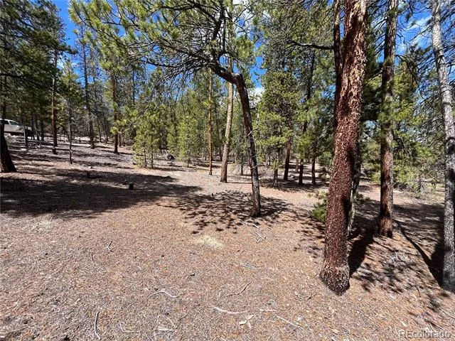 1013 Sequoia Drive Twin Lakes, CO 81251