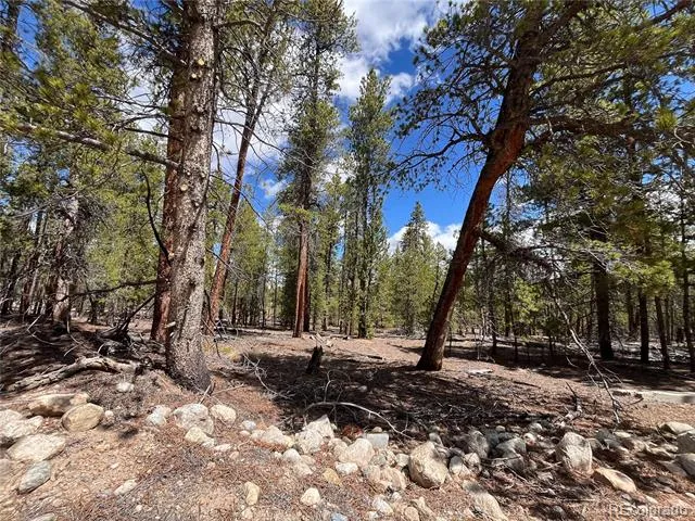 1013 Sequoia Drive Twin Lakes, CO 81251