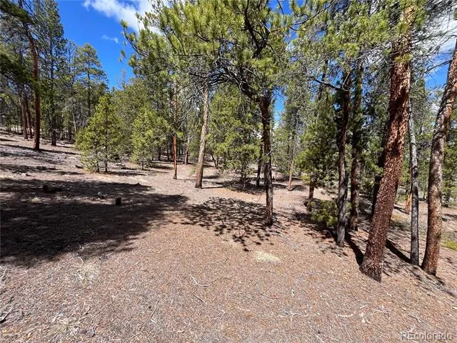 1013 Sequoia Drive Twin Lakes, CO 81251