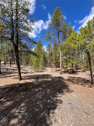 1013 Sequoia Drive Twin Lakes, CO 81251