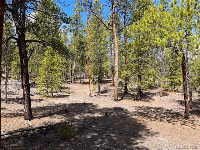 1013 Sequoia Drive Twin Lakes, CO 81251