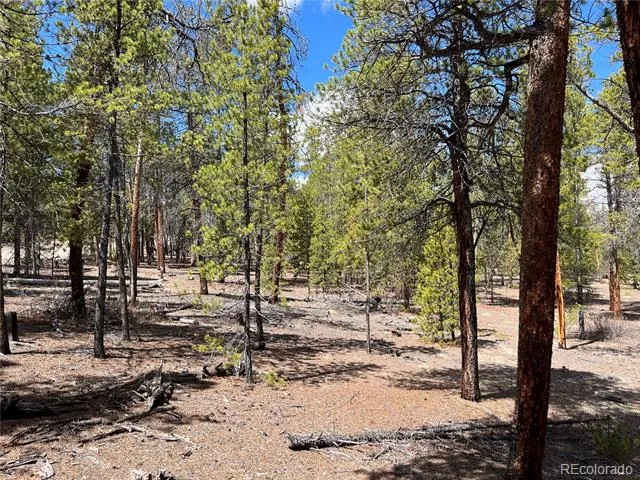 1013 Sequoia Drive Twin Lakes, CO 81251