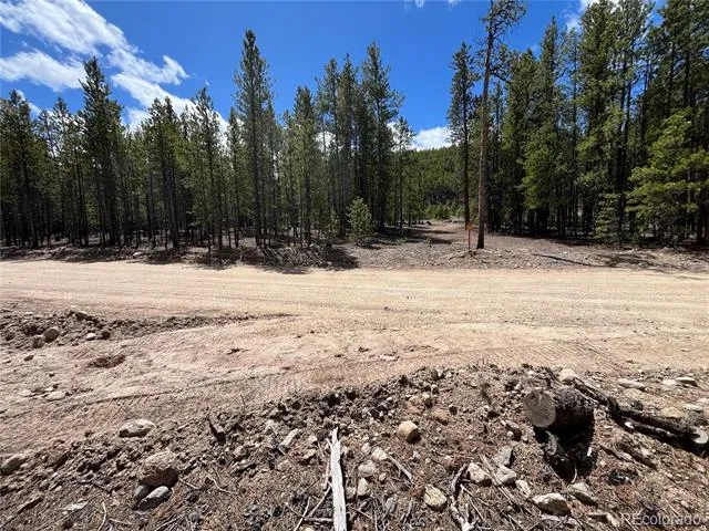 1013 Sequoia Drive Twin Lakes, CO 81251