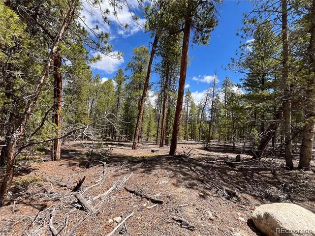 1013 Sequoia Drive Twin Lakes, CO 81251