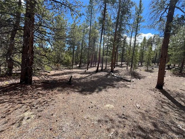 1013 Sequoia Drive Twin Lakes, CO 81251