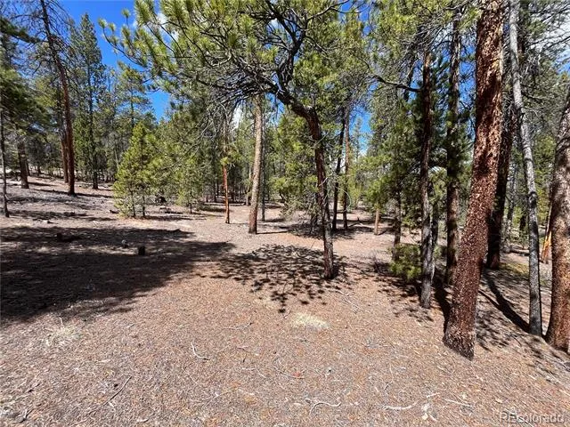 1013 Sequoia Drive Twin Lakes, CO 81251