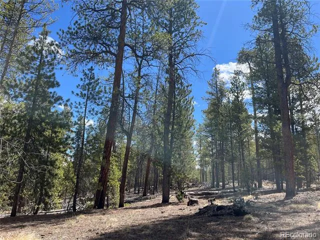 1013 Sequoia Drive Twin Lakes, CO 81251