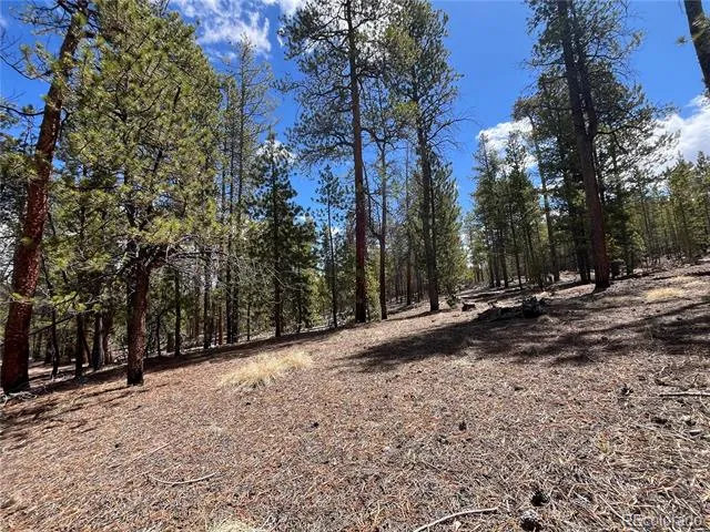 1013 Sequoia Drive Twin Lakes, CO 81251