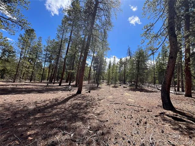 1013 Sequoia Drive Twin Lakes, CO 81251