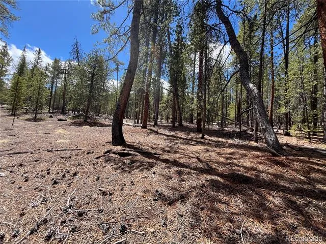 1013 Sequoia Drive Twin Lakes, CO 81251