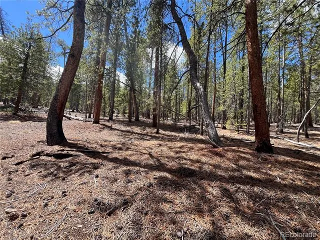 1013 Sequoia Drive Twin Lakes, CO 81251