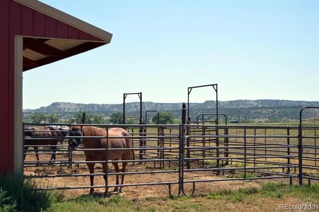 6053 Muddy Creek Road Pueblo, CO 81004