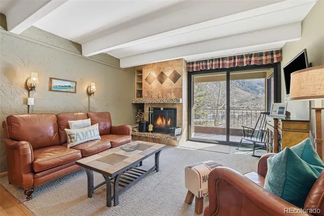 220 E La Bonte Street #219 Dillon, CO 80435