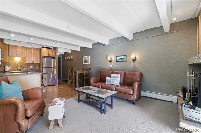 220 E La Bonte Street #219 Dillon, CO 80435