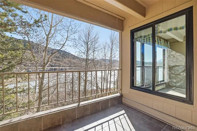 220 E La Bonte Street #219 Dillon, CO 80435