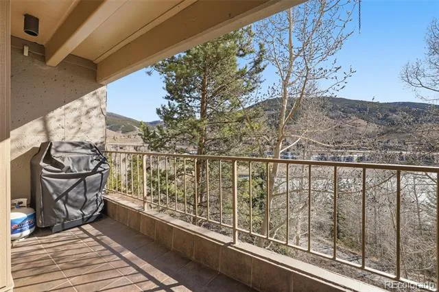 220 E La Bonte Street #219 Dillon, CO 80435