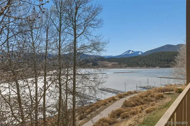 220 E La Bonte Street #219 Dillon, CO 80435