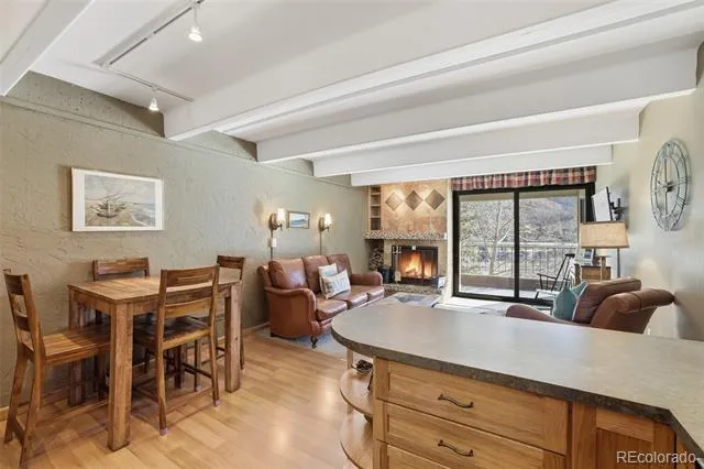 220 E La Bonte Street #219 Dillon, CO 80435