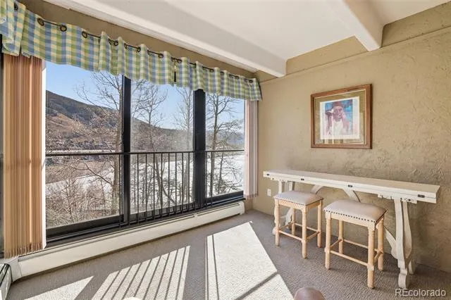 220 E La Bonte Street #219 Dillon, CO 80435