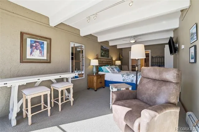 220 E La Bonte Street #219 Dillon, CO 80435