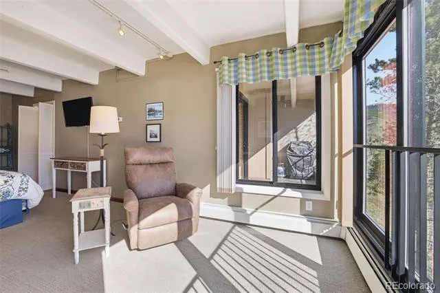 220 E La Bonte Street #219 Dillon, CO 80435
