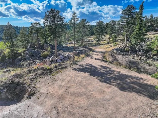 23047 Big Game Trail Conifer, CO 80433