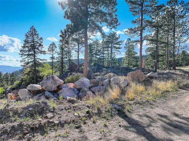 23047 Big Game Trail Conifer, CO 80433