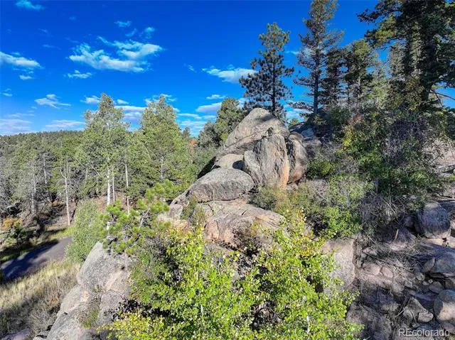 23047 Big Game Trail Conifer, CO 80433