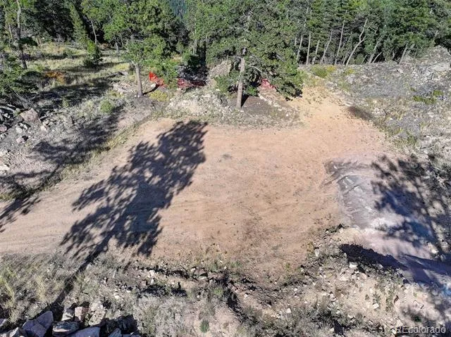 23047 Big Game Trail Conifer, CO 80433