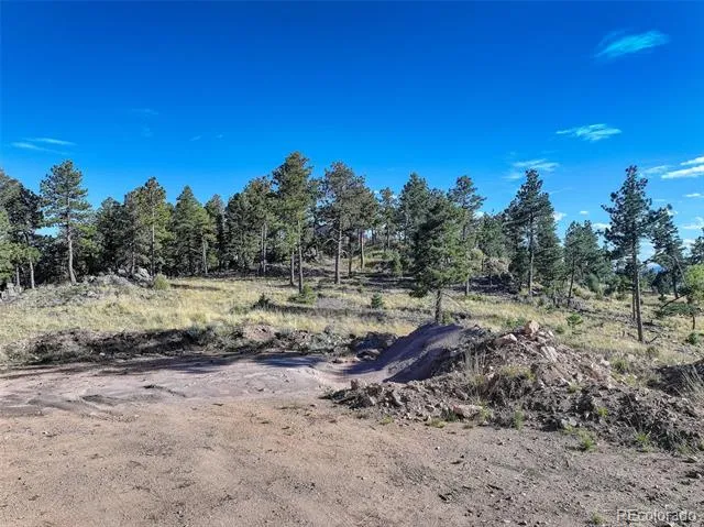 23047 Big Game Trail Conifer, CO 80433