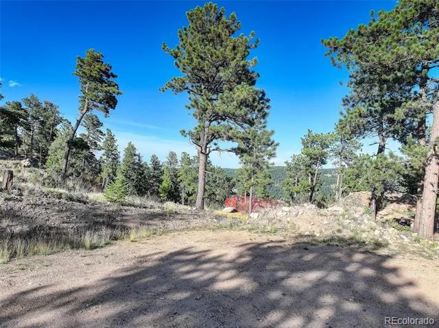 23047 Big Game Trail Conifer, CO 80433