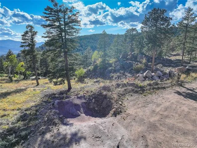 23047 Big Game Trail Conifer, CO 80433