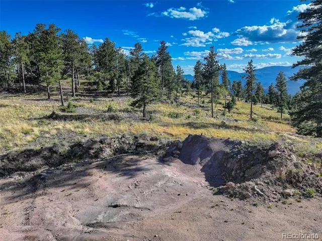 23047 Big Game Trail Conifer, CO 80433