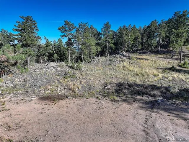 23047 Big Game Trail Conifer, CO 80433