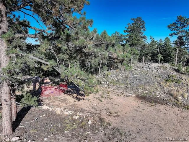 23047 Big Game Trail Conifer, CO 80433