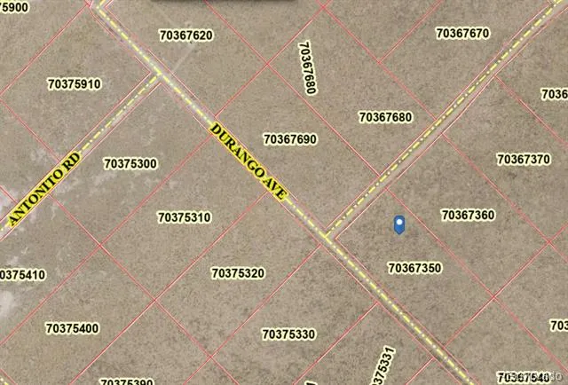 Lot 1 Durango Ave. Blanca, CO 81123
