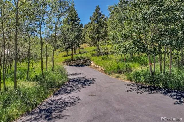 Block 2, Lot 24 Hughesville Road Black Hawk, CO 80422