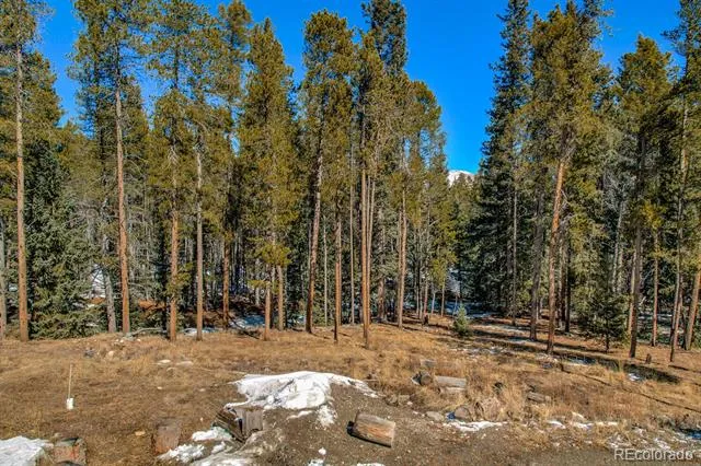 154 Lakeside Drive Fairplay, CO 80440