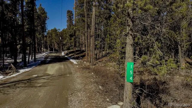 154 Lakeside Drive Fairplay, CO 80440