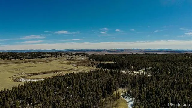 154 Lakeside Drive Fairplay, CO 80440