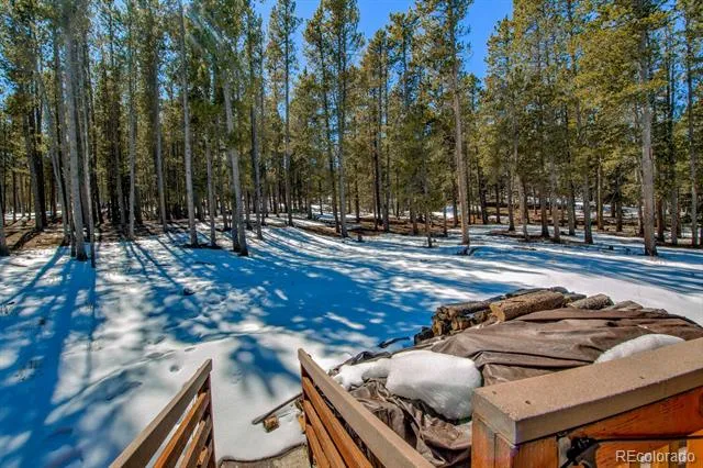 154 Lakeside Drive Fairplay, CO 80440