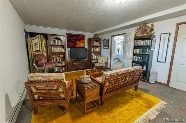 3818 Fontaine Road Fort Garland, CO 81133