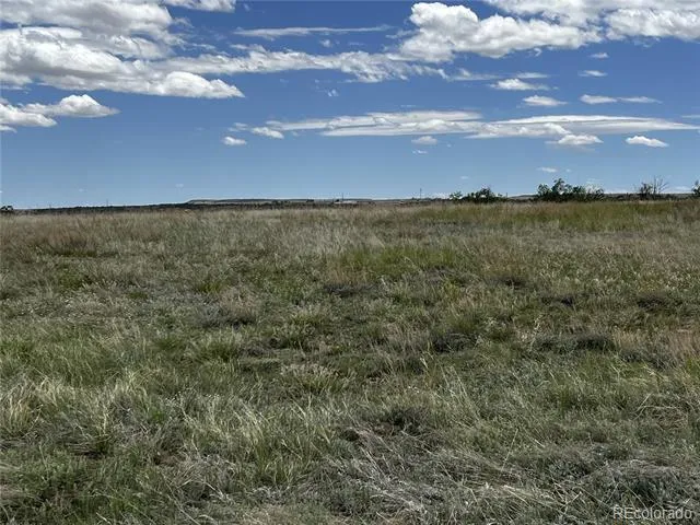 Lot 142 Fort Gerry Drive Colorado City, CO 81019