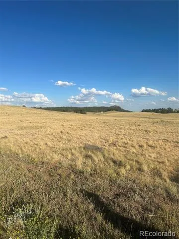 290 Castle Mountain Drive Florissant, CO 80816