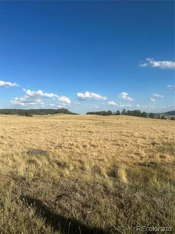 290 Castle Mountain Drive Florissant, CO 80816