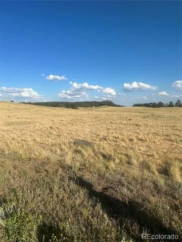 290 Castle Mountain Drive Florissant, CO 80816