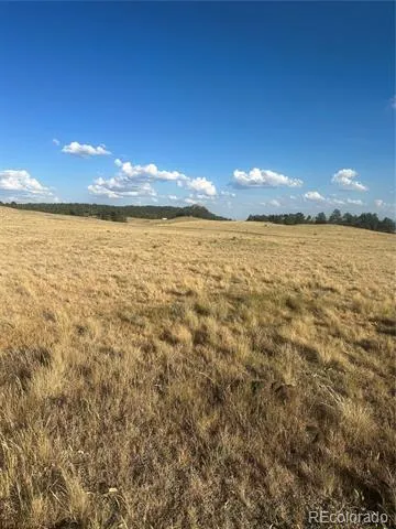 290 Castle Mountain Drive Florissant, CO 80816