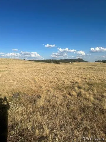 290 Castle Mountain Drive Florissant, CO 80816